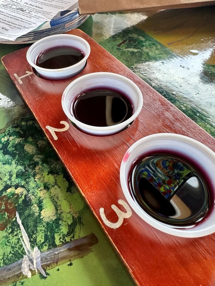 A wine flight at Blue Sky Vineyard, a winery on the Southern Illinois Wine Trail.