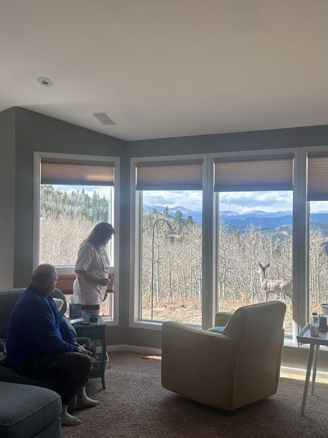 The deer outside the large living room windows at Alpina Haus, a cozy holiday stay in the mountains.