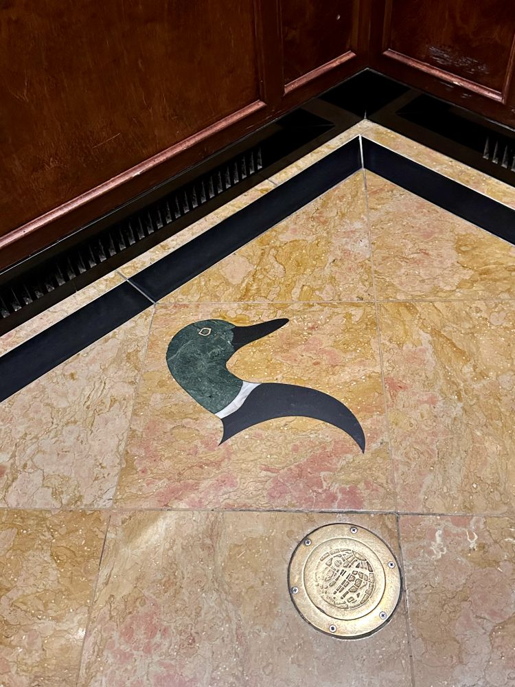 A duck image in the floor of the elevator at The Peabody Hotel In Memphis TN.