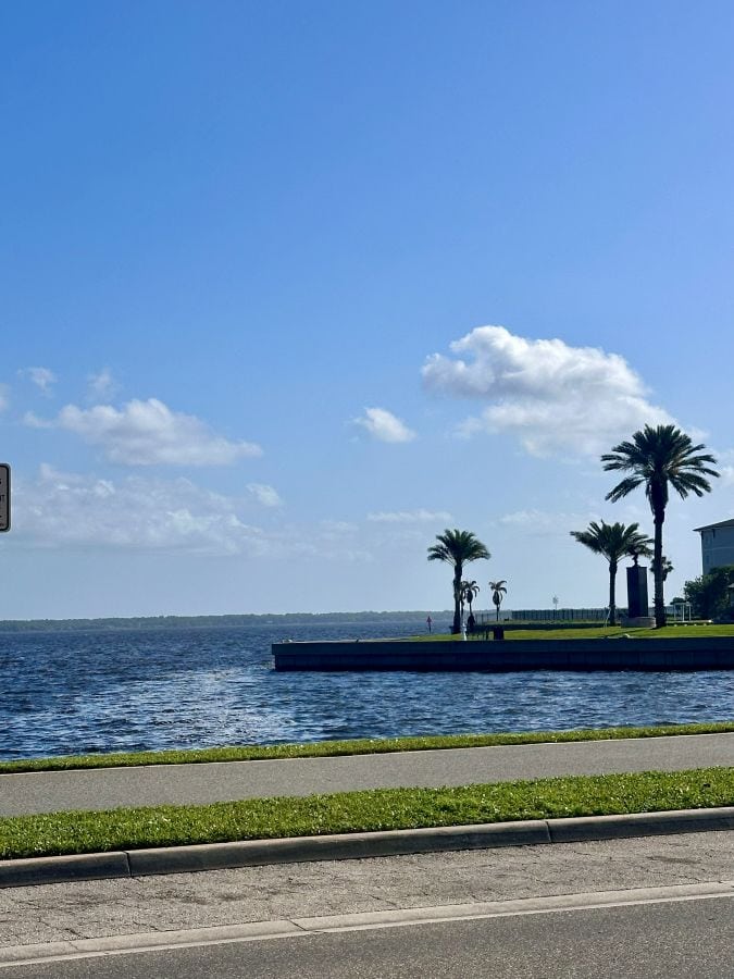 The view of Lake Monroe from the Caffe with palm trees in Sanford Florida.