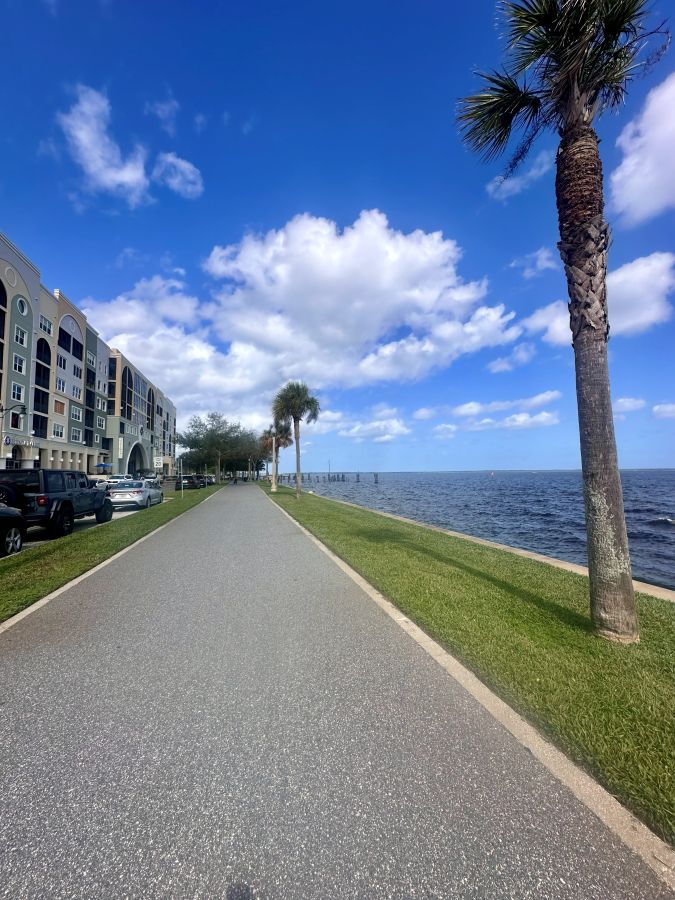 The Riverwalk, with a building on the left and the lake on the right and a palm tree in the foreground in Sanford Florida.