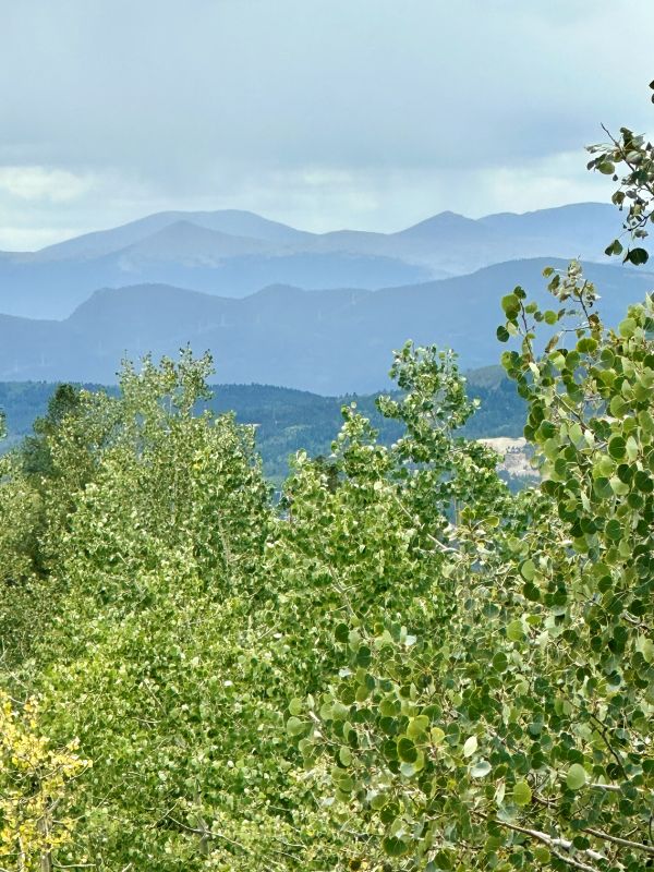 A mountain view, the mountains layers of blue with green foliage in front. The view from Alpina haus on our Colorado Mountain retreat.