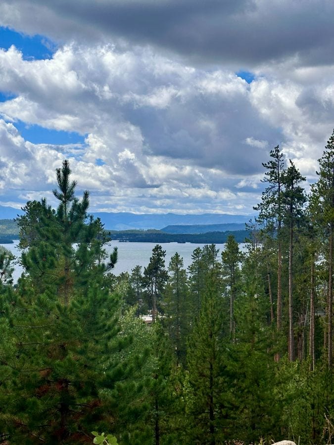 A view of Grand Lake through the evergreens from Grand Lake Lodge.