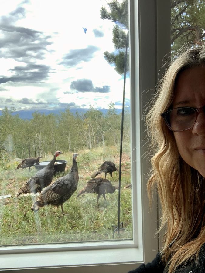 The turkeys out the window, half my face in the image from inside the window, the turkeys outside the window at Alpina Haus, our Colorado mountain retreat.