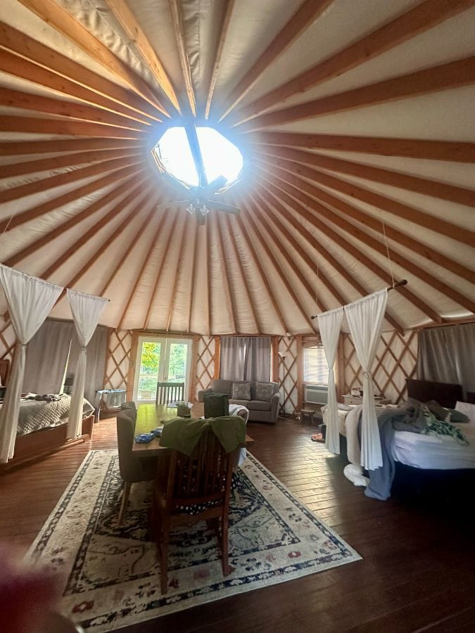 The inside of Marias yurt with wood beams and a window in the ceiling letting in light at the Brown Mountain Beach Resort.