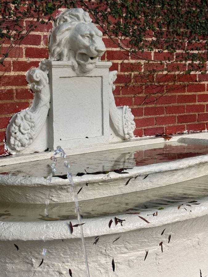 A close up of the historic Lion Fountain, installed by James Buchanon Duke at the Duke Mansion, one of the historic hotels in Charlotte.