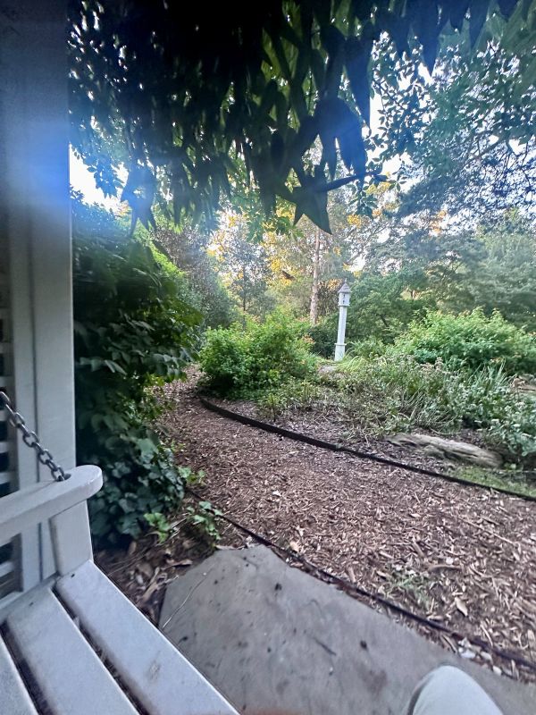 a view of the gardens from a swing at the Duke Mansion, one of the historic hotels in Charlotte.