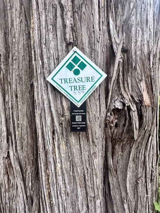 A close up of the sign "Treasure Tree" that is on a tree in the gardens at the Duke Mansion, one of the historic hotels in Charlotte.