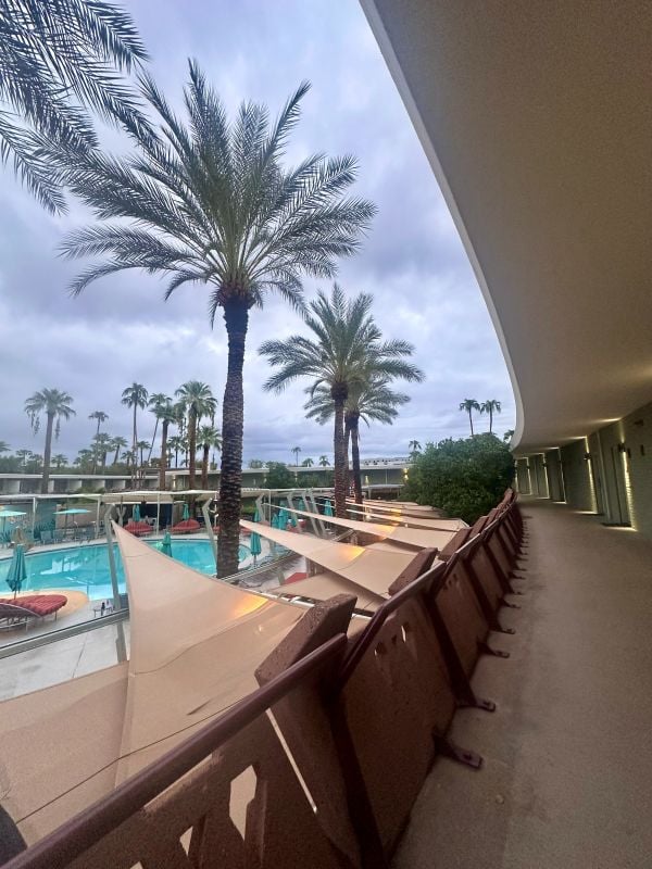 Poolside lounge chairs with palm trees at Hotel Valley Ho in Scottsdale, Arizona.